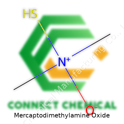 Mercaptodimethylamine Oxide