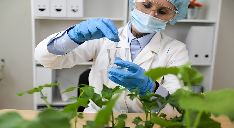 Multi-Field Empowerment: Methyl Anthranilate for Flavors & Pesticide Synthesis