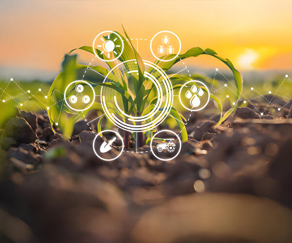 Connect Chemical Manufacturing Co., Ltd